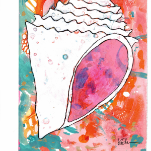Queen Conch