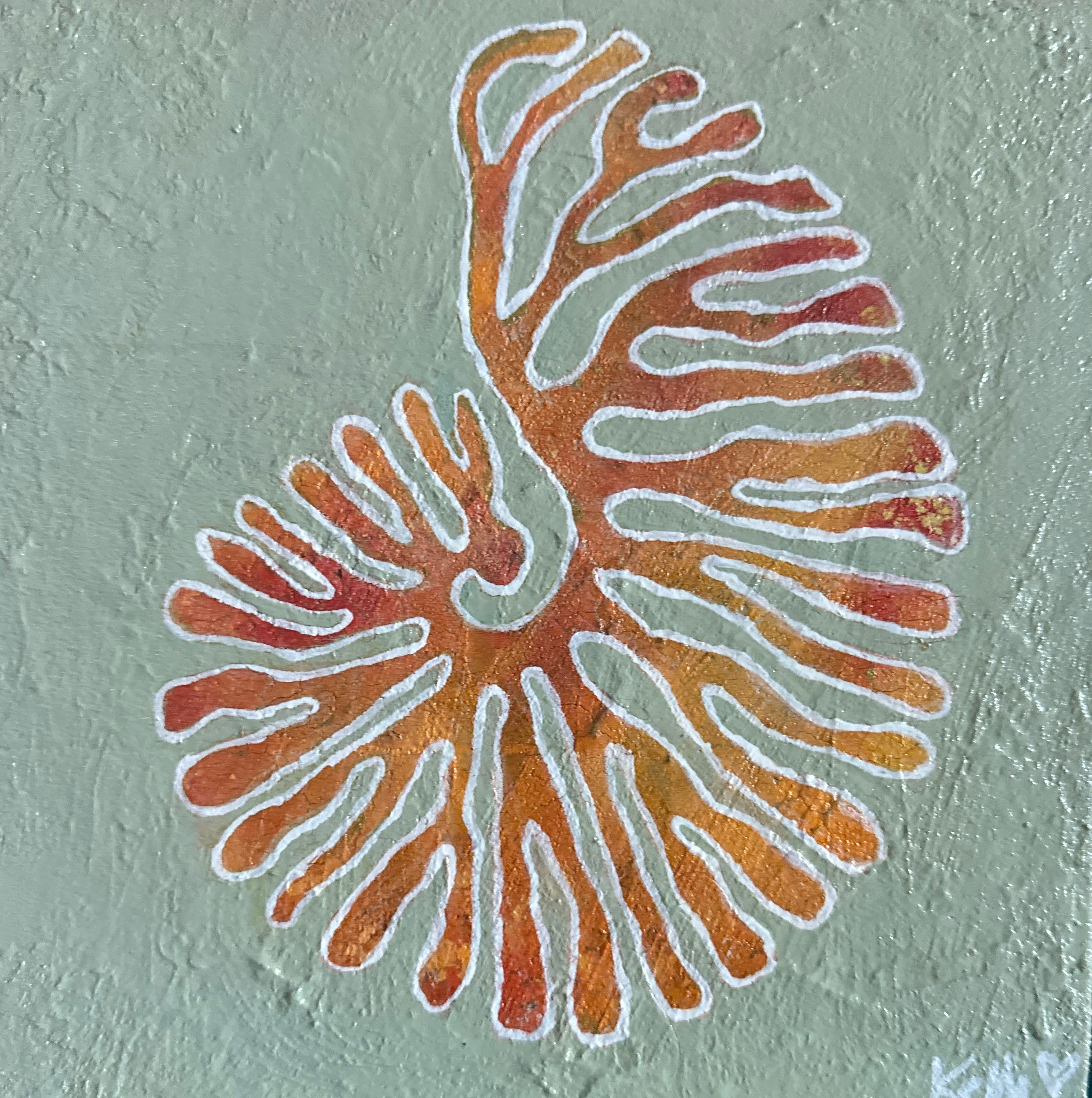 Sargassum