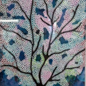 Sea Fan