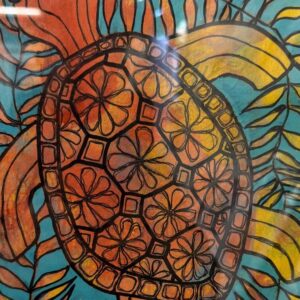Sea Turtle